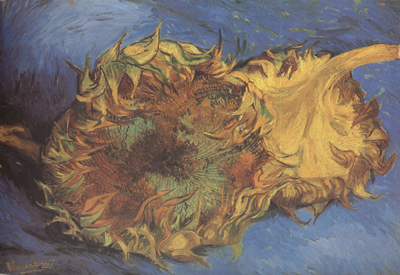 Vincent Van Gogh Two Cut Sunflowers (nn04)